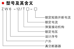 ZW6-12系列户外高压真空断路器型号含义